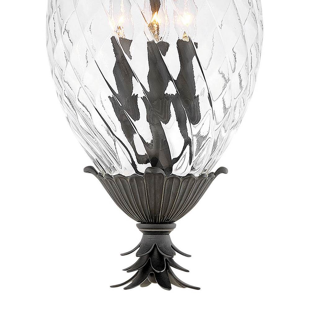 Hinkley Lighting 2122MB Museum Black Large Hanging Lantern Image 2