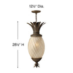 Hinkley Lighting Plantation Large Hanging Lantern