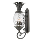 Hinkley Lighting 2124MB Museum Black Medium Wall Mount Lantern Image 1