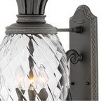 Hinkley Lighting 2124MB Museum Black Medium Wall Mount Lantern Image 4