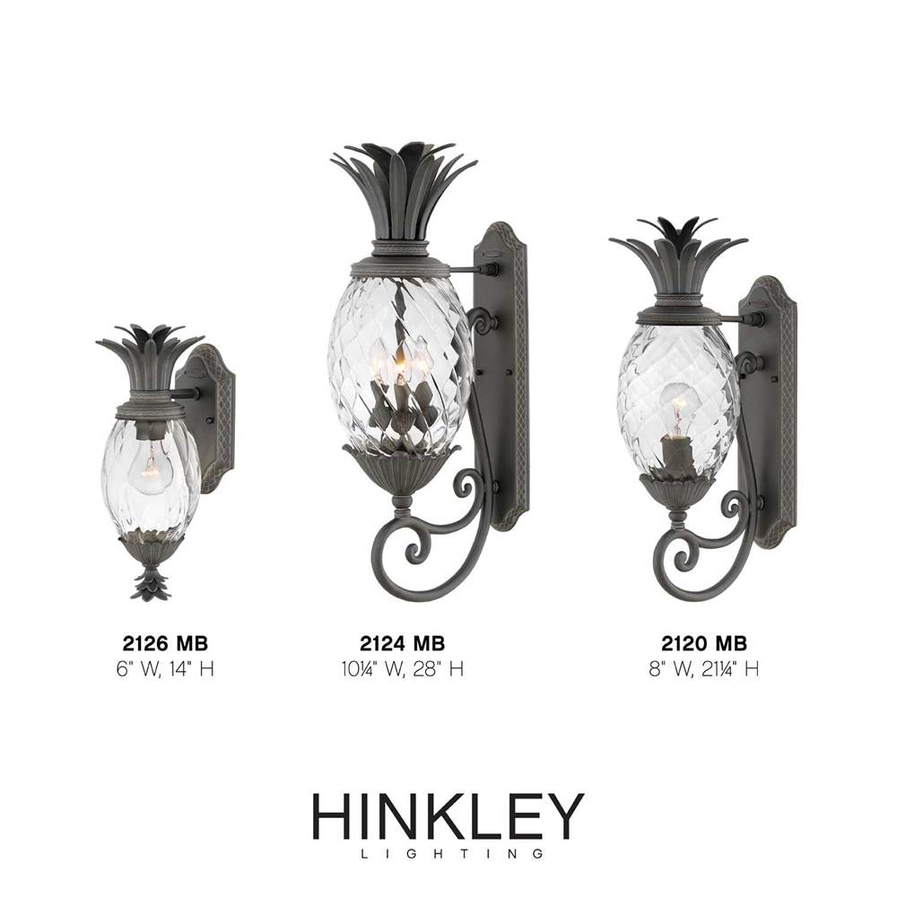 Hinkley Lighting 2124MB Museum Black Medium Wall Mount Lantern Image 2