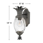 Hinkley Lighting Plantation Extra Small Wall Mount Lantern