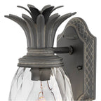 Hinkley Lighting 2126MB Museum Black Extra Small Wall Mount Lantern Image 4