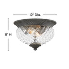 Hinkley Lighting Plantation Small Flush Mount