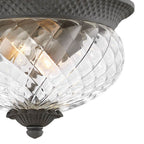 Hinkley Lighting 2128MB Museum Black Small Flush Mount Image 3