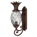 Hinkley Lighting 2220CB Copper Bronze Small Wall Mount Lantern Image 1