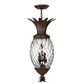 Hinkley Lighting 2222CB Copper Bronze Large Pendant Image 1