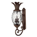 Hinkley Lighting 2225CB Copper Bronze Large Wall Mount Lantern Image 1