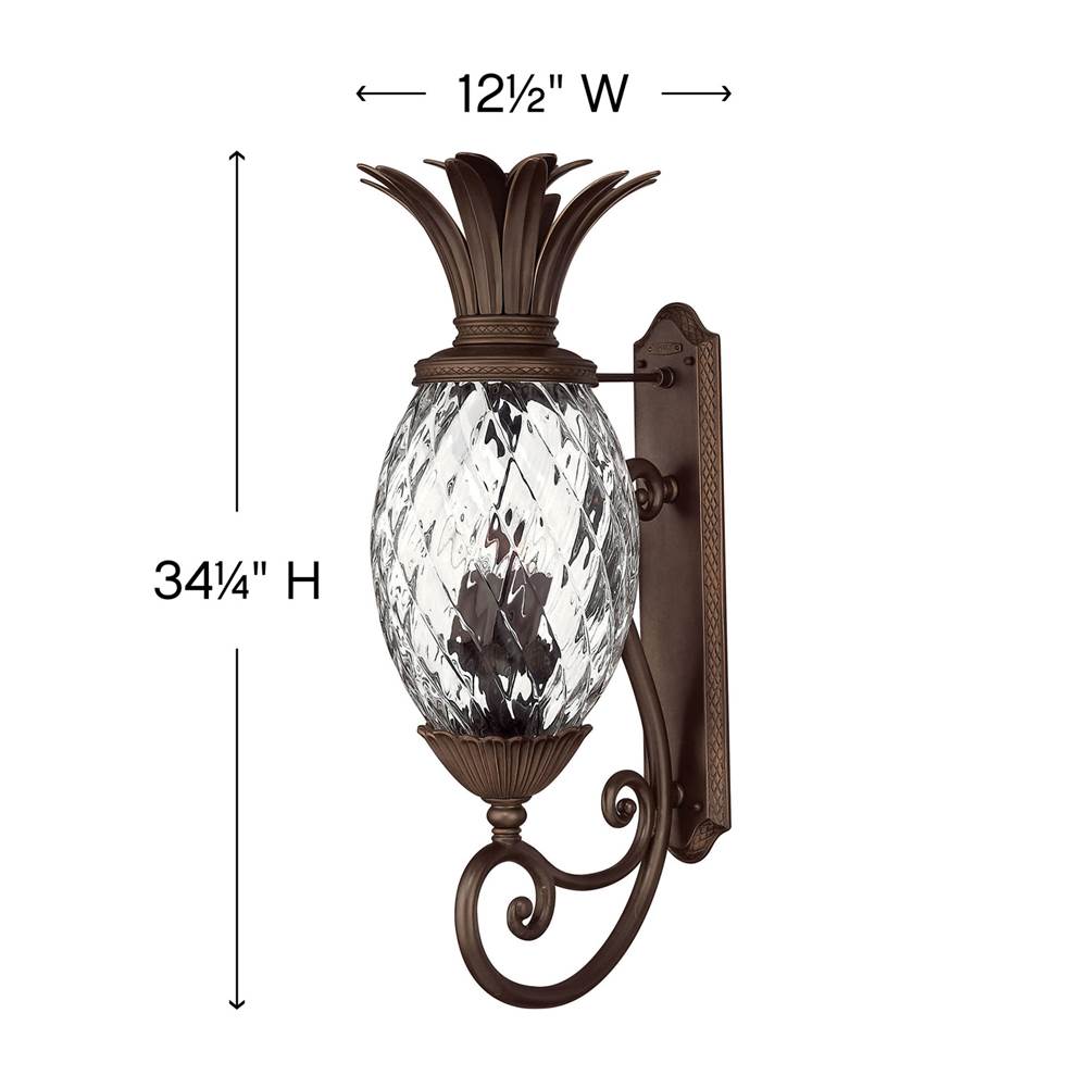 Hinkley Lighting Plantation Large Wall Mount Lantern
