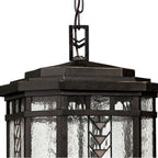 Hinkley Lighting 2242RB Regency Bronze Large Hanging Lantern Image 3