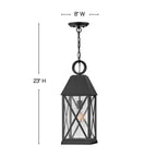 Hinkley Lighting Briar Large Hanging Lantern
