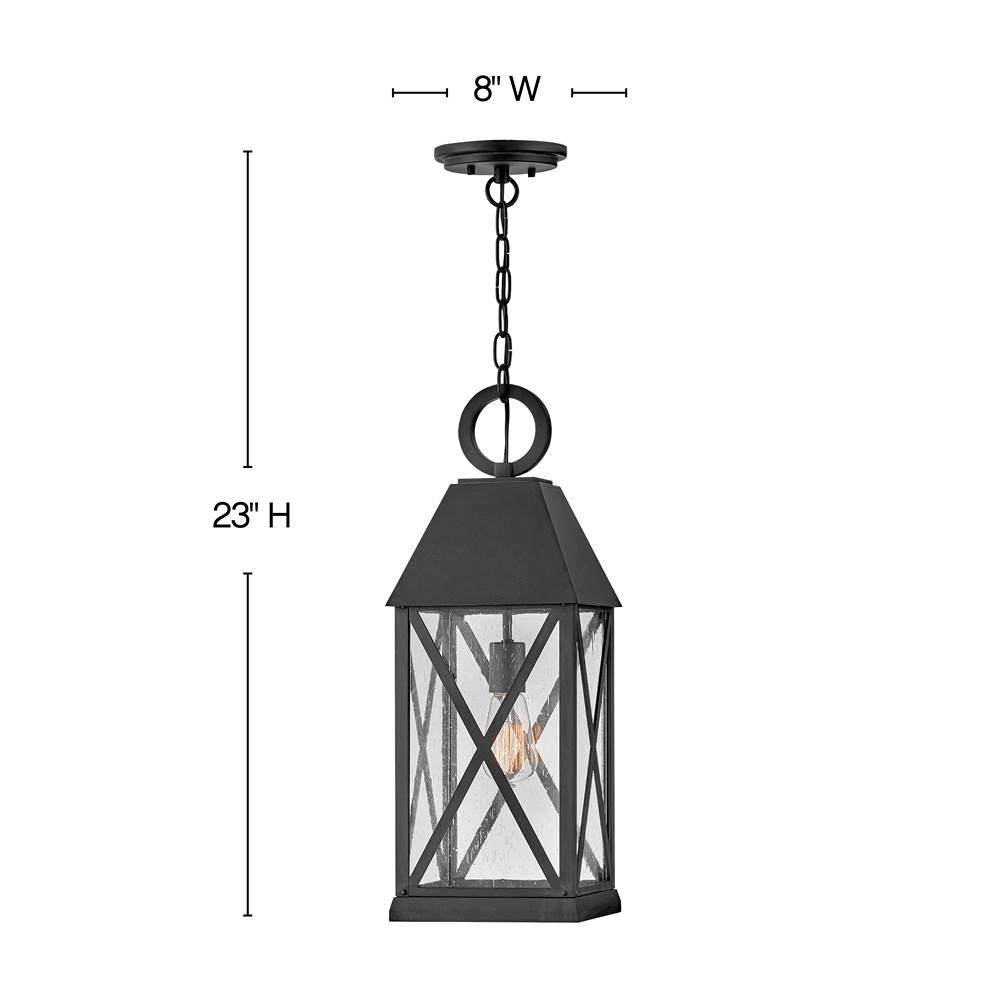 Hinkley Lighting Briar Large Hanging Lantern