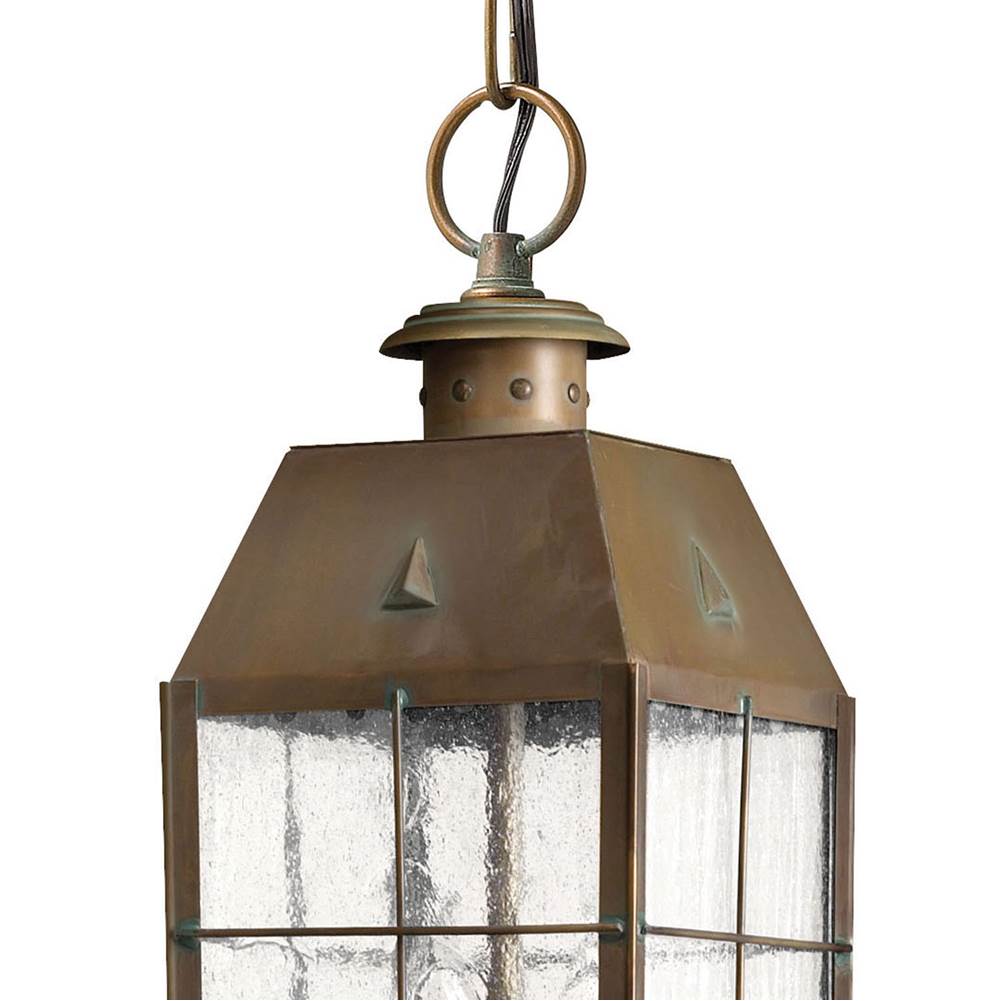 Hinkley Lighting 2372AS Aged Brass Medium Hanging Lantern Image 3