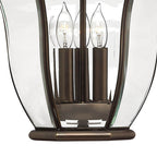 Hinkley Lighting 2442CB Copper Bronze Large Hanging Lantern Image 3