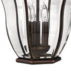 Hinkley Lighting 2445CB Copper Bronze Large Wall Mount Lantern Image 3