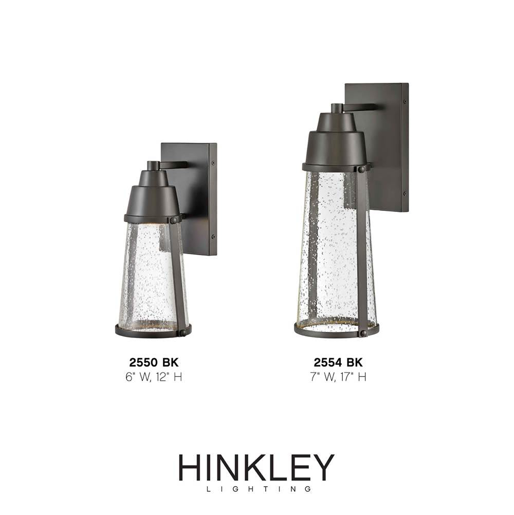 Hinkley Lighting 2554BK Black Medium Wall Mount Lantern Image 2