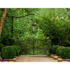 Hinkley Lighting 2592BK-LL Black Extra Large Hanging Lantern Image 4