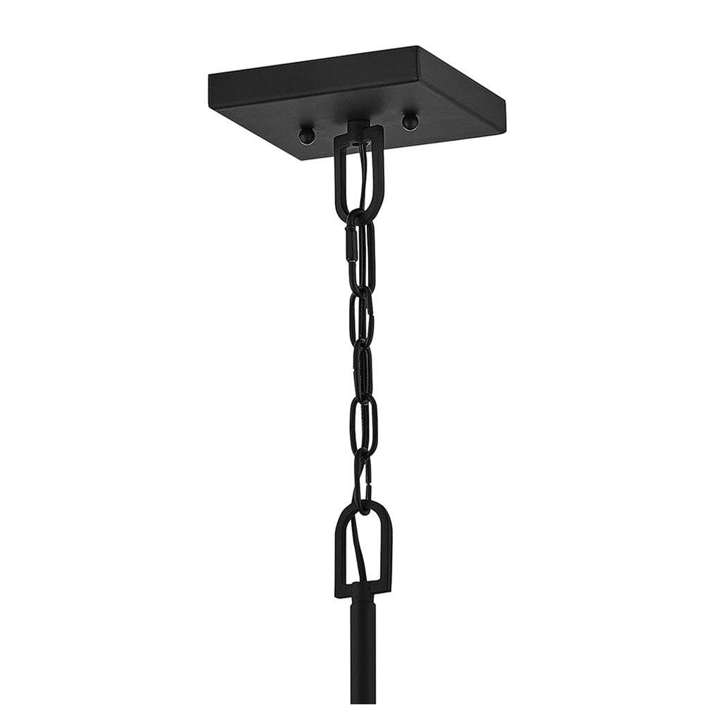 Hinkley Lighting 2592BK-LV Black Extra Large Hanging Lantern 12v Image 2