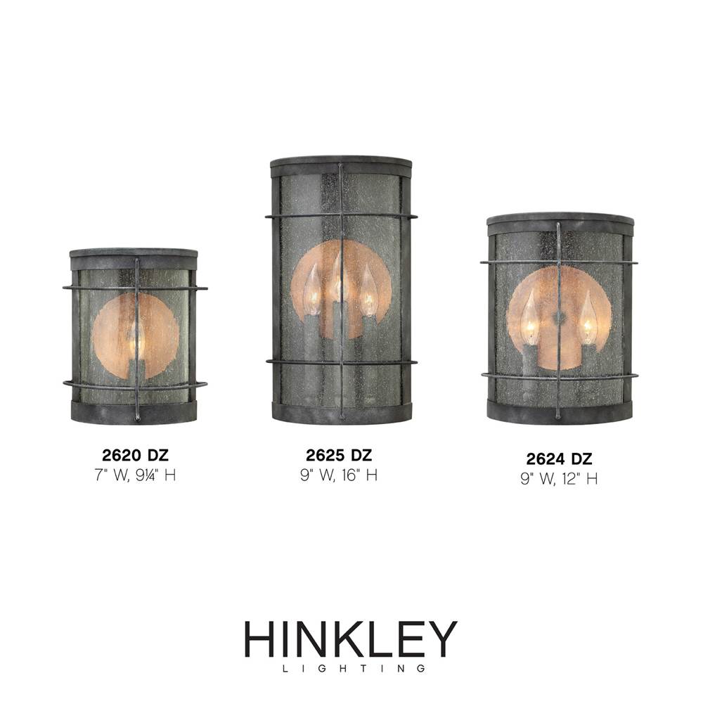 Hinkley Lighting 2620DZ Aged Zinc Small Wall Mount Lantern Image 2