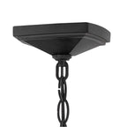 Hinkley Lighting 27092MB Museum Black Large Hanging Lantern Image 4