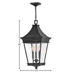 Hinkley Lighting 27092MB Museum Black Large Hanging Lantern Image 3