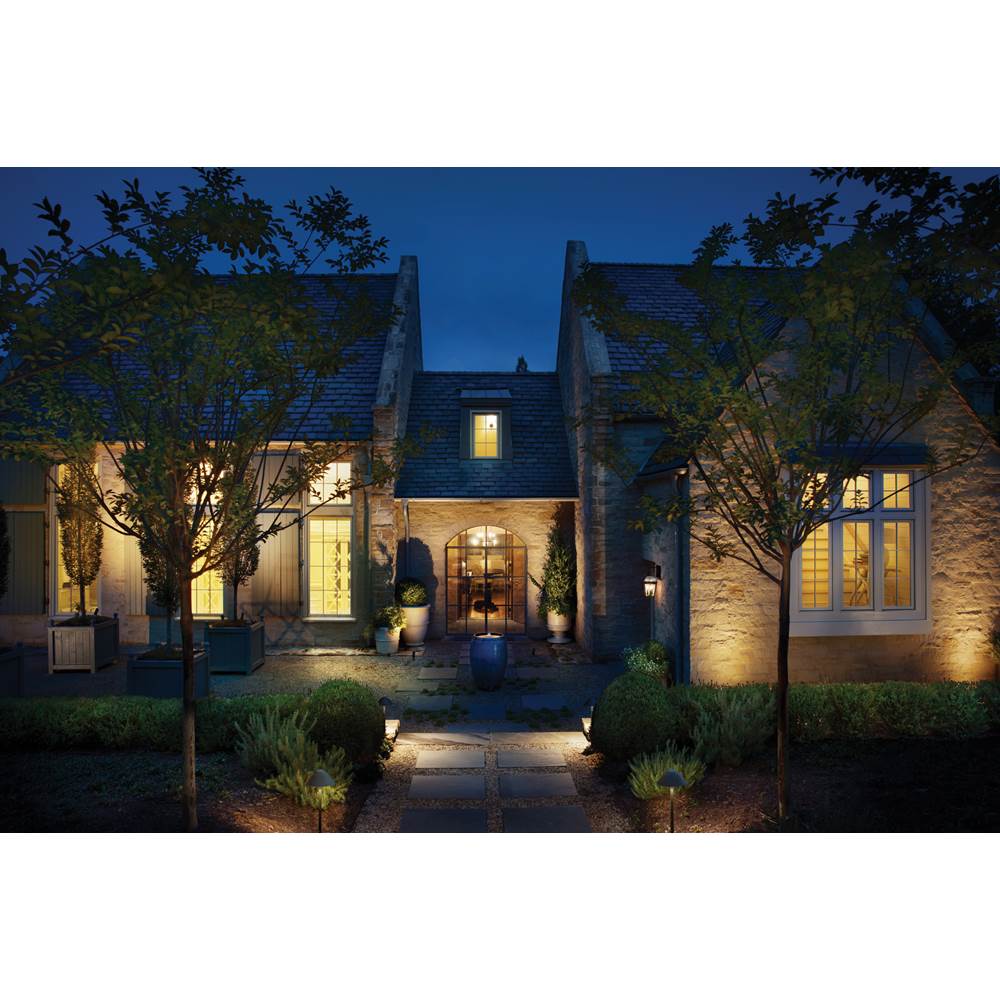 Hinkley Lighting 2775BLB Blackened Brass Large Wall Mount Lantern Image 3