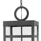 Hinkley Lighting 2808DZ Aged Zinc Large Single Tier Image 5
