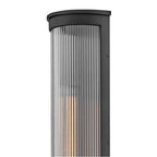 Hinkley Lighting 29085BK-LL Black Large Wall Mount Lantern Image 4