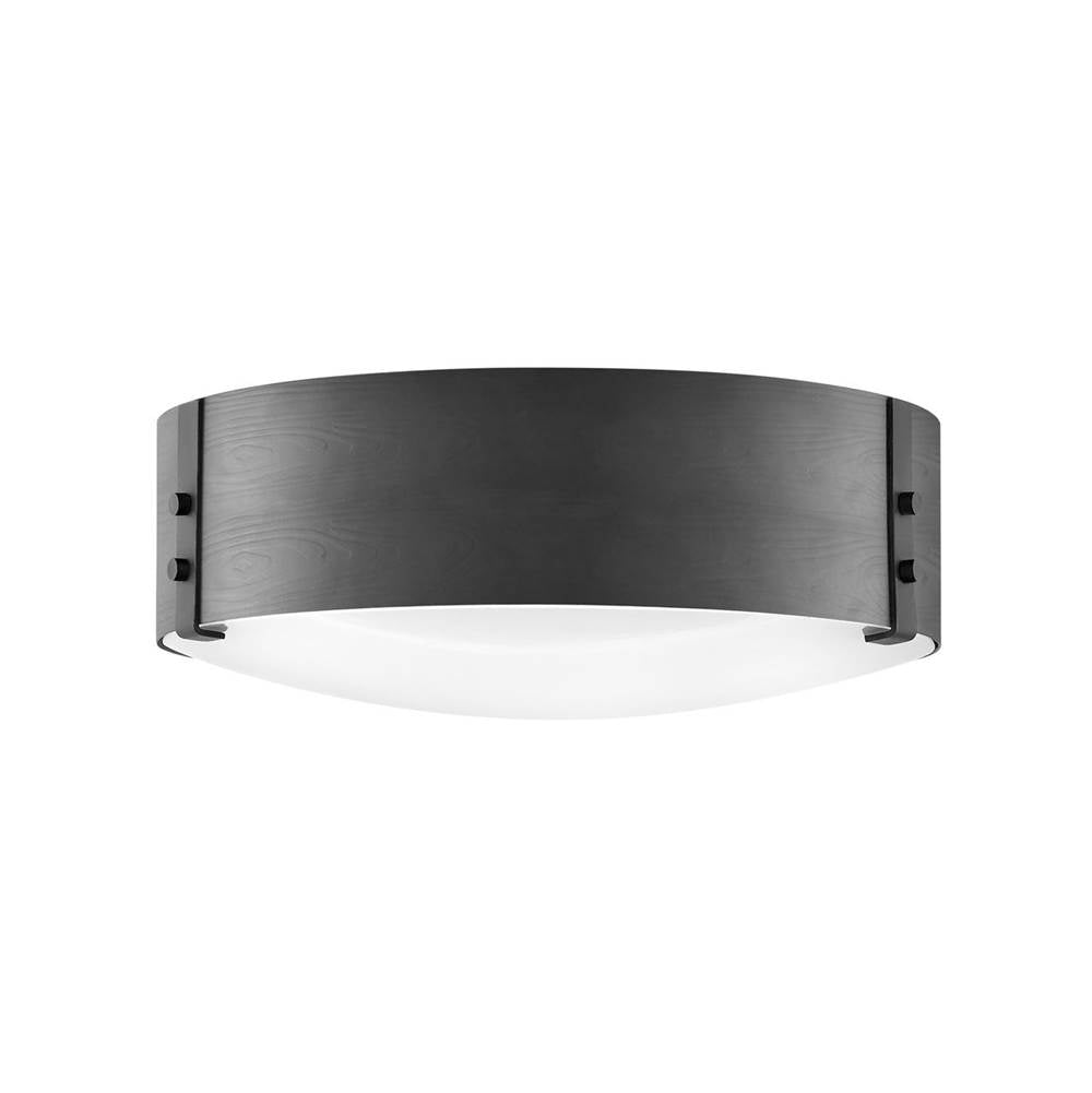 Hinkley Lighting 29203BK Black Medium Flush Mount Image 1