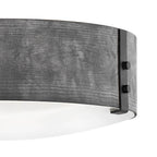 Hinkley Lighting 29203DZ-LL Aged Zinc Medium Flush Mount Image 2