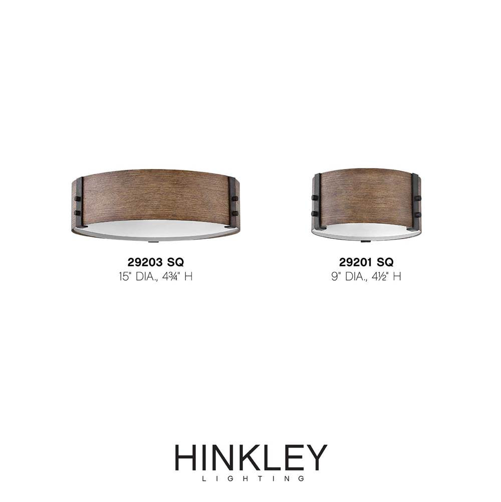 Hinkley Lighting 29203SQ Sequoia Medium Flush Mount Image 2