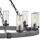 Hinkley Lighting 29207DZ-LL Aged Zinc Large Single Tier Image 6