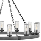 Hinkley Lighting 29207DZ-LL Aged Zinc Large Single Tier Image 4