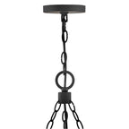 Hinkley Lighting 29208BK-LV Black Medium Single Tier Chandelier 12v Image 2