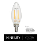 Hinkley Lighting 29208SQ-LV Sequoia Large Single Tier 12v Image 4