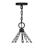 Hinkley Lighting 29209BK Black Extra Large Single Tier Image 4