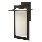 Hinkley Lighting 2925BZ Bronze Large Wall Mount Lantern Image 1