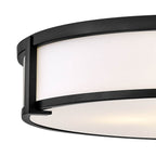 Hinkley Lighting 3244BK Black Extra Large Flush Mount Image 4