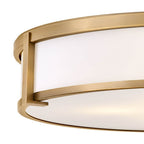 Hinkley Lighting 3244BR Brushed Bronze Extra Large Flush Mount Image 4
