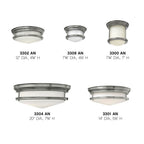 Hinkley Lighting Hadley Large Flush Mount