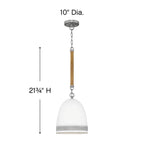 Hinkley Lighting Nash Small Pendant