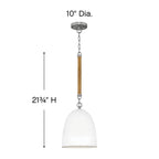 Hinkley Lighting Nash Small Pendant