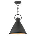 Hinkley Lighting 3557DZ Aged Zinc Small Pendant Image 1