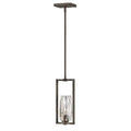 Hinkley Lighting Ana Small Pendant