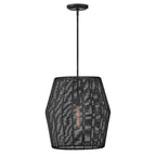 Hinkley Lighting 40387BLK Black,White Large Convertible Pendant Image 1