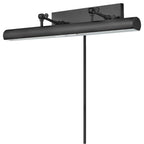 Hinkley Lighting 43013BK Black Large Accent Light Image 4