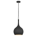 Hinkley Lighting 4457BK Black Medium Pendant Image 1