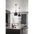 Hinkley Lighting 4457BK Black Medium Pendant Image 3