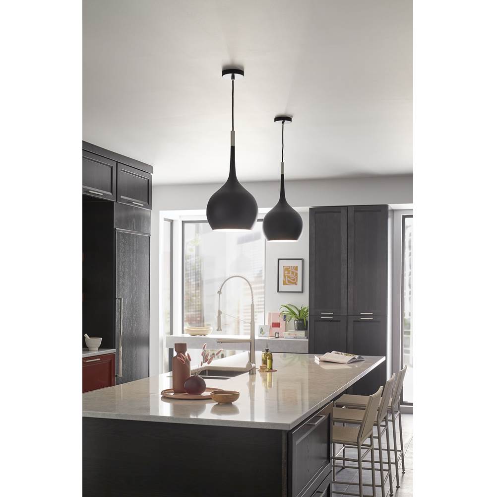 Hinkley Lighting 4457BK Black Medium Pendant Image 2