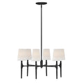 Hinkley Lighting 4466BK Black Medium Single Tier Image 1